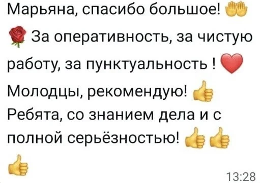 Отзыв клиентки — оперативно, чисто и пунктуально, рекомендую